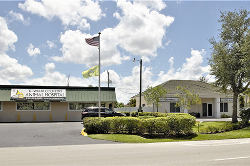 Veterinarian Naples, Florida - Animal Hospital Estero, Bonita Springs, FL
